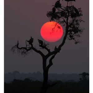 Meet your Posher, Nadia